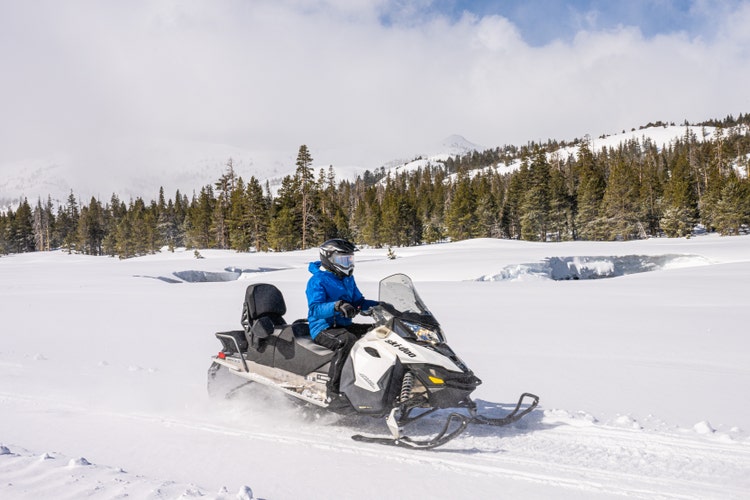 Snowmobile Tour Experience